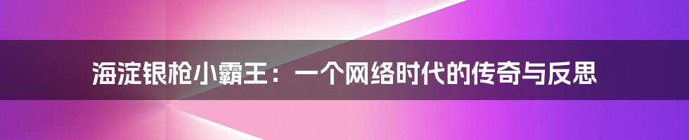 海淀银枪小霸王：一个网络时代的传奇与反思