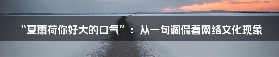 “夏雨荷你好大的口气”：从一句调侃看网络文化现象