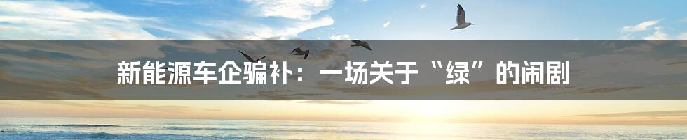 新能源车企骗补:一场关于“绿”的闹剧