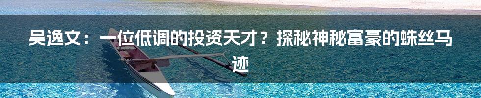 吴逸文：一位低调的投资天才？探秘神秘富豪的蛛丝马迹