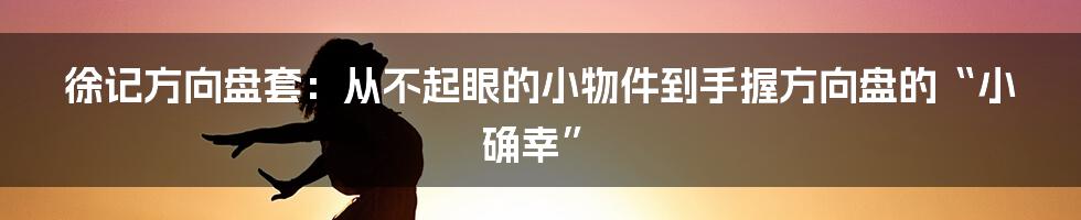 徐记方向盘套：从不起眼的小物件到手握方向盘的“小确幸”