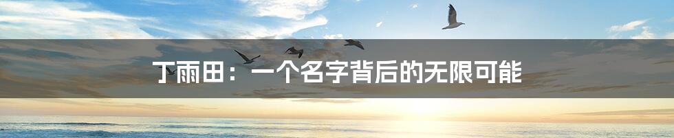 丁雨田：一个名字背后的无限可能