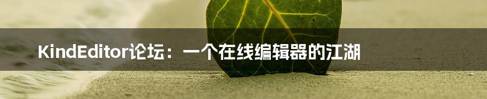 KindEditor论坛：一个在线编辑器的江湖
