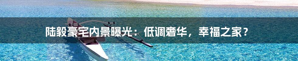 陆毅豪宅内景曝光：低调奢华，幸福之家？