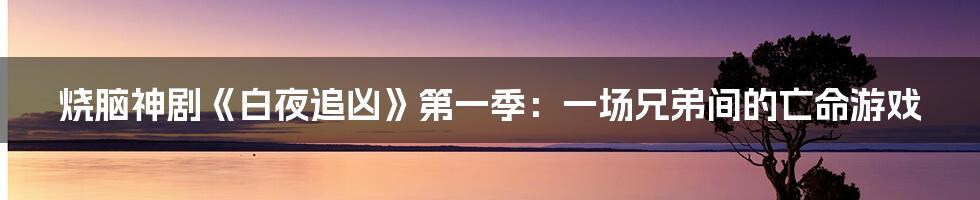 烧脑神剧《白夜追凶》第一季：一场兄弟间的亡命游戏