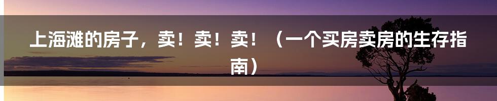 上海滩的房子，卖！卖！卖！（一个买房卖房的生存指南）
