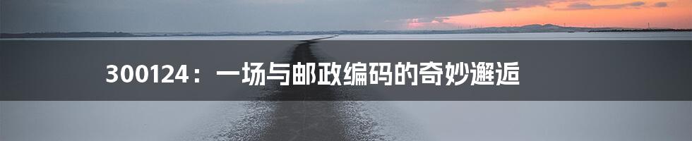 300124：一场与邮政编码的奇妙邂逅