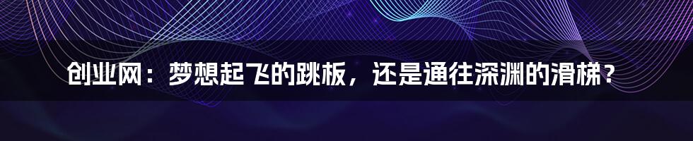 创业网：梦想起飞的跳板，还是通往深渊的滑梯？