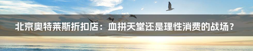北京奥特莱斯折扣店:血拼天堂还是理性消费的战场?