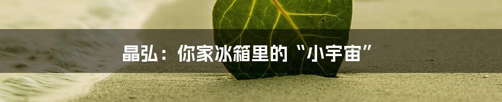 晶弘：你家冰箱里的“小宇宙”