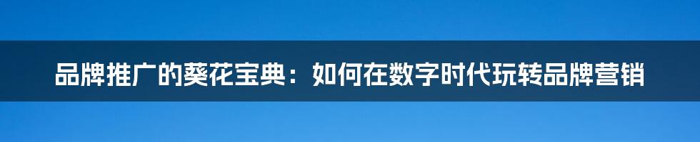 品牌推广的葵花宝典：如何在数字时代玩转品牌营销
