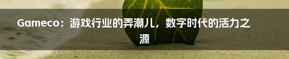Gameco：游戏行业的弄潮儿，数字时代的活力之源