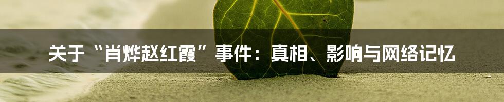 关于“肖烨赵红霞”事件：真相、影响与网络记忆