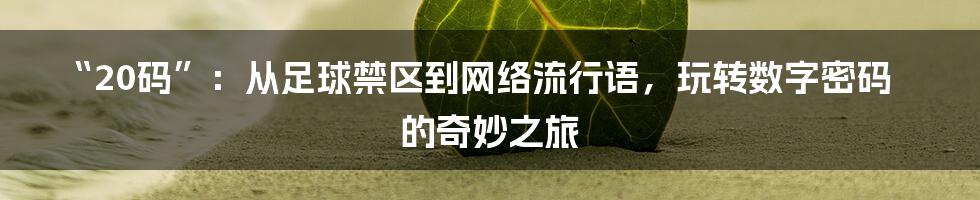 “20码”：从足球禁区到网络流行语，玩转数字密码的奇妙之旅