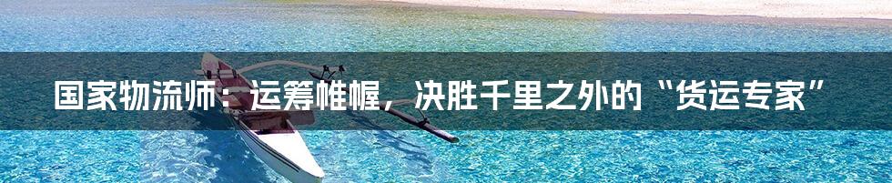 国家物流师:运筹帷幄,决胜千里之外的“货运专家”
