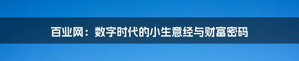 百业网：数字时代的小生意经与财富密码