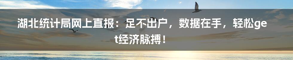 湖北统计局网上直报：足不出户，数据在手，轻松get经济脉搏！