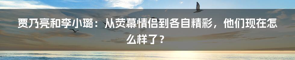 贾乃亮和李小璐：从荧幕情侣到各自精彩，他们现在怎么样了？