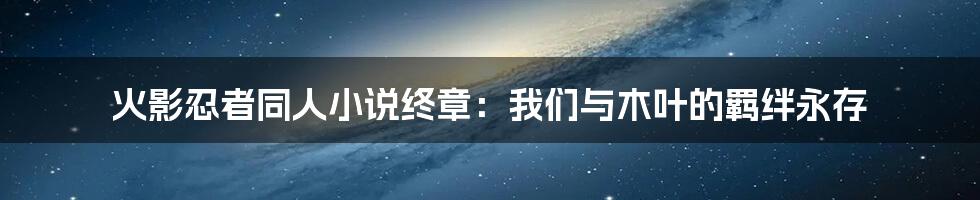 火影忍者同人小说终章:我们与木叶的羁绊永存