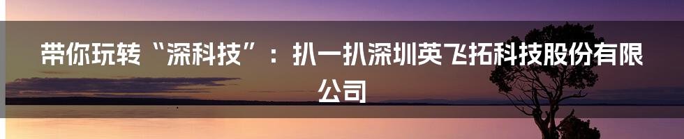 带你玩转“深科技”：扒一扒深圳英飞拓科技股份有限公司