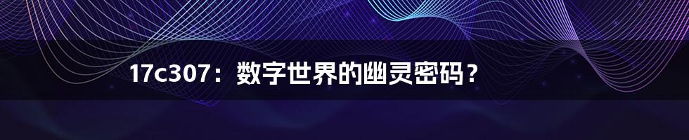 17c307:数字世界的幽灵密码?