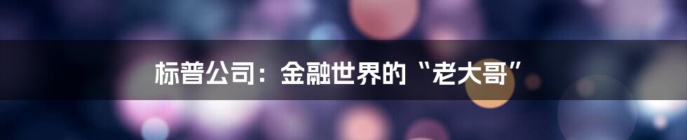 标普公司：金融世界的“老大哥”