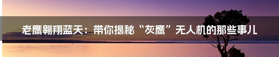 老鹰翱翔蓝天:带你揭秘“灰鹰”无人机的那些事儿