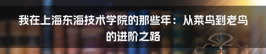 我在上海东海技术学院的那些年：从菜鸟到老鸟的进阶之路