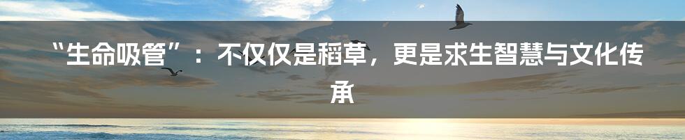“生命吸管”:不仅仅是稻草,更是求生智慧与文化传承