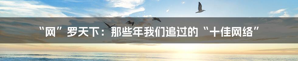 “网”罗天下:那些年我们追过的“十佳网络”