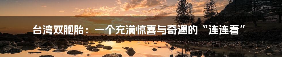 台湾双胞胎：一个充满惊喜与奇遇的“连连看”