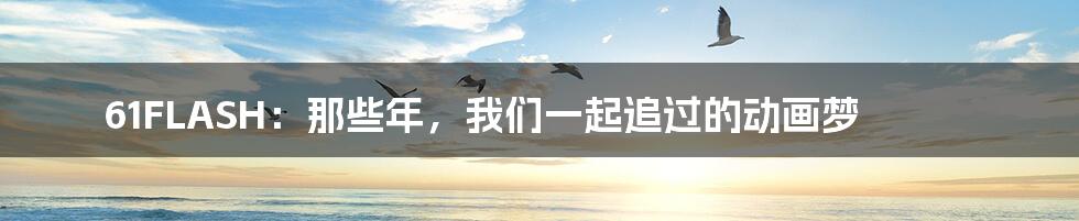 61FLASH:那些年,我们一起追过的动画梦