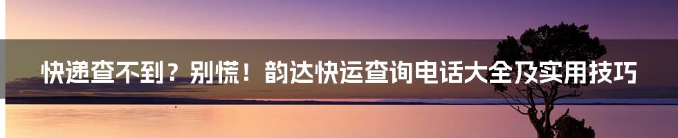 快递查不到？别慌！韵达快运查询电话大全及实用技巧