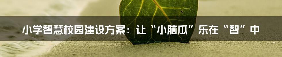 小学智慧校园建设方案:让“小脑瓜”乐在“智”中