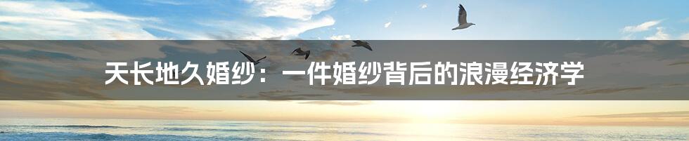 天长地久婚纱：一件婚纱背后的浪漫经济学