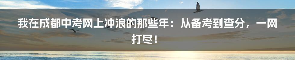 我在成都中考网上冲浪的那些年:从备考到查分,一网打尽!