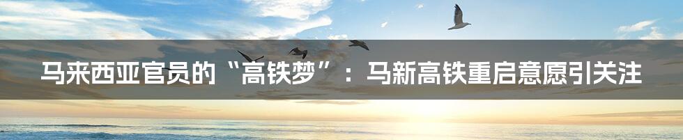 马来西亚官员的“高铁梦”:马新高铁重启意愿引关注