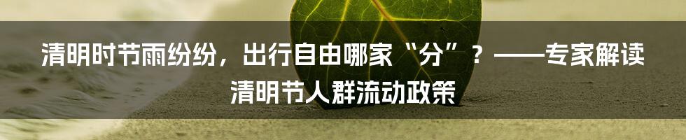 清明时节雨纷纷，出行自由哪家“分”？——专家解读清明节人群流动政策