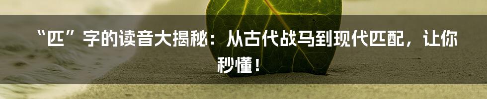 “匹”字的读音大揭秘：从古代战马到现代匹配，让你秒懂！