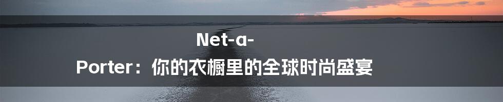 Net-a-Porter：你的衣橱里的全球时尚盛宴