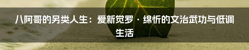 八阿哥的另类人生：爱新觉罗·绵忻的文治武功与低调生活