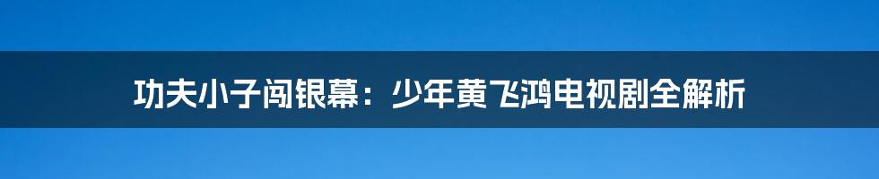功夫小子闯银幕：少年黄飞鸿电视剧全解析