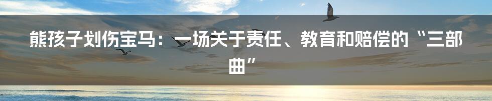 熊孩子划伤宝马：一场关于责任、教育和赔偿的“三部曲”
