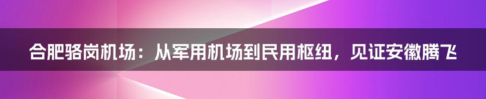 合肥骆岗机场：从军用机场到民用枢纽，见证安徽腾飞