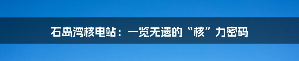 石岛湾核电站:一览无遗的“核”力密码