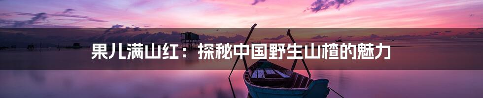 果儿满山红：探秘中国野生山楂的魅力