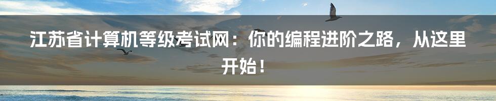 江苏省计算机等级考试网:你的编程进阶之路,从这里开始!