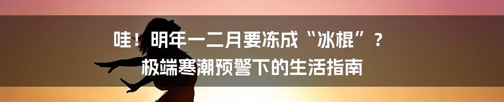 哇！明年一二月要冻成“冰棍”？ 极端寒潮预警下的生活指南
