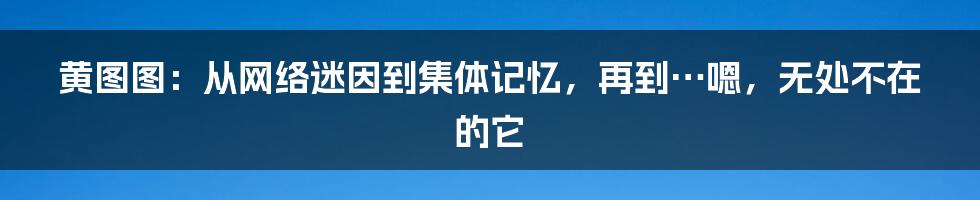 黄图图:从网络迷因到集体记忆,再到…嗯,无处不在的它