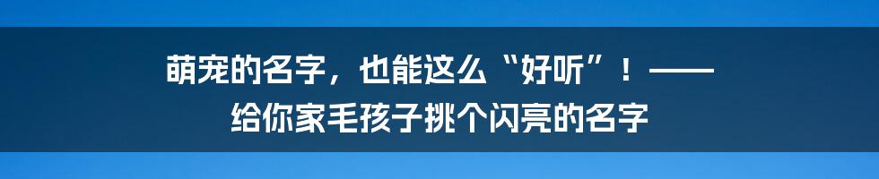 萌宠的名字,也能这么“好听”!—— 给你家毛孩子挑个闪亮的名字